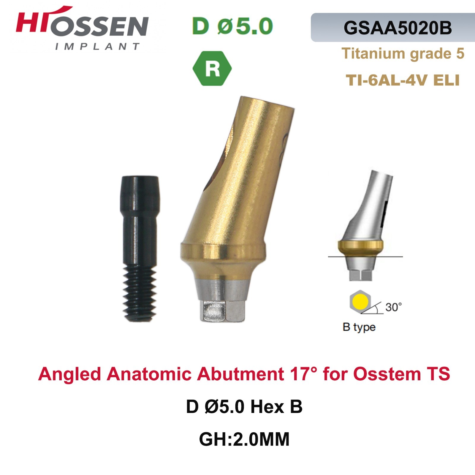 1X Fit Mini/Regular Angled Anatomic Abutment 17° Ti Dental Osstem/TS Hiossen/ET