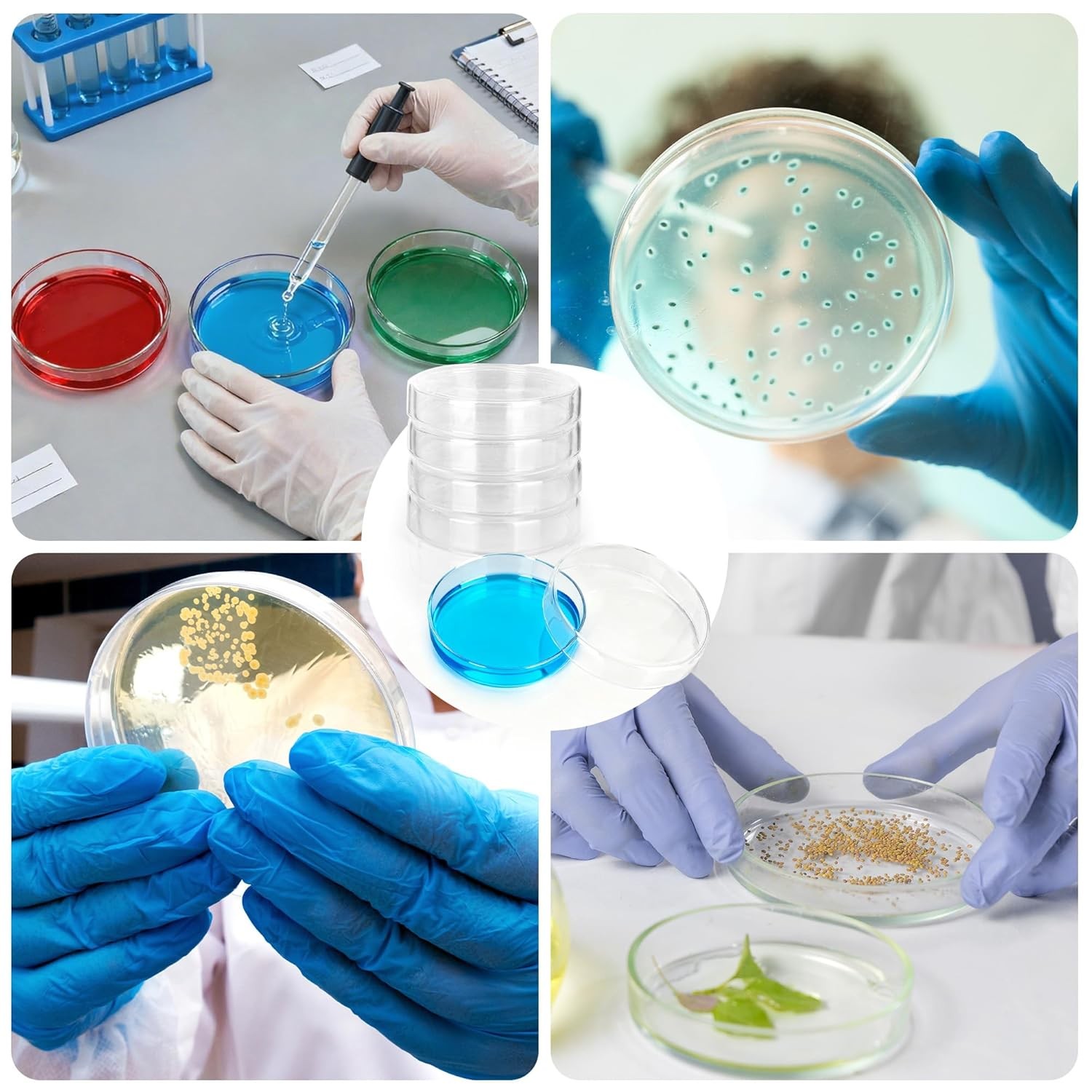 10Pcs 90mm Glass Petri Dish with Lids High Borosilicate Bacterial Culture Dishes