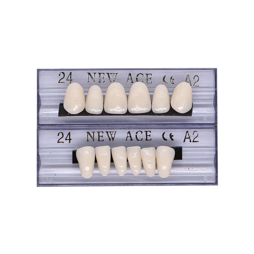 168Pcs/Box Acrylic Resin Denture #24 Dental Upper Lower Shade A2 Teeth Set USA