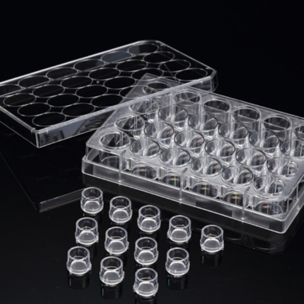 3D Cell Culture Plate Insert™ Hanging, PC, 3μm/8μm, Sterile, 6 Pcs/PK, 24 Pcs/CS