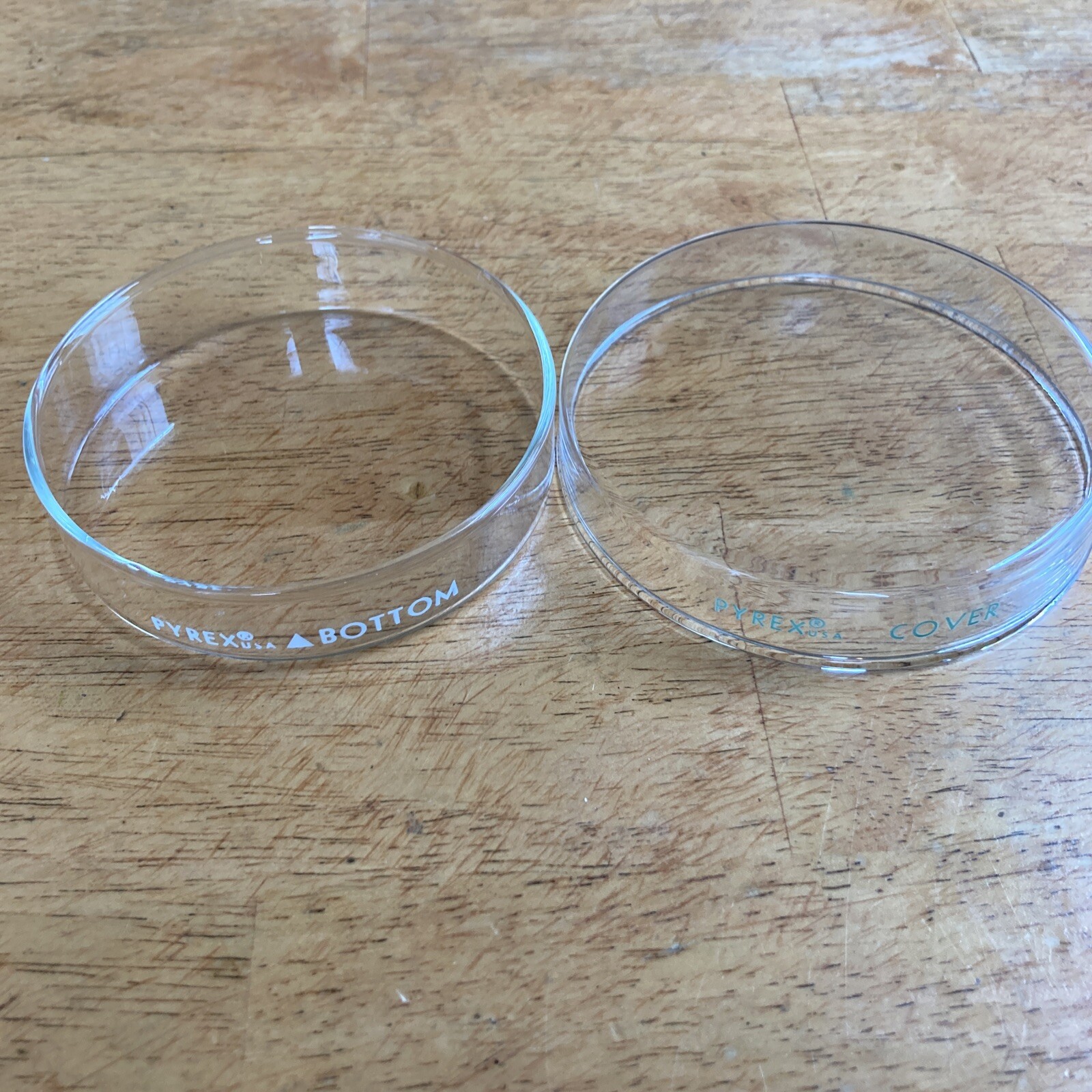 Pyrex Petri Culture Dish 90 x 20 mm set – 1 Bottom and 1 Cover