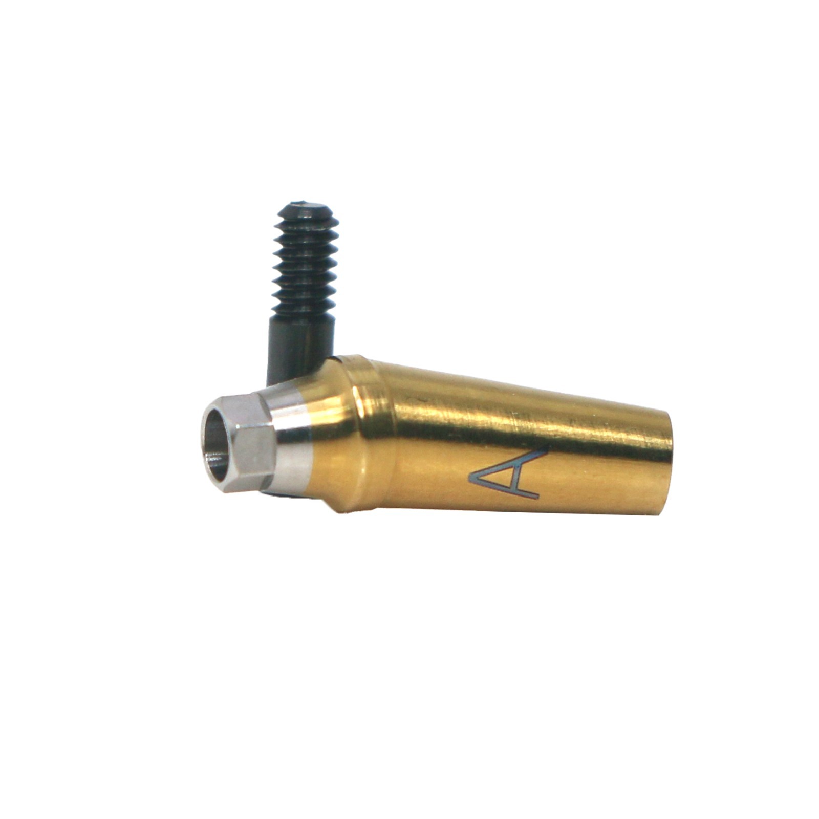 1X Fit Mini/Regular Angled Anatomic Abutment 17° Ti Dental Osstem/TS Hiossen/ET