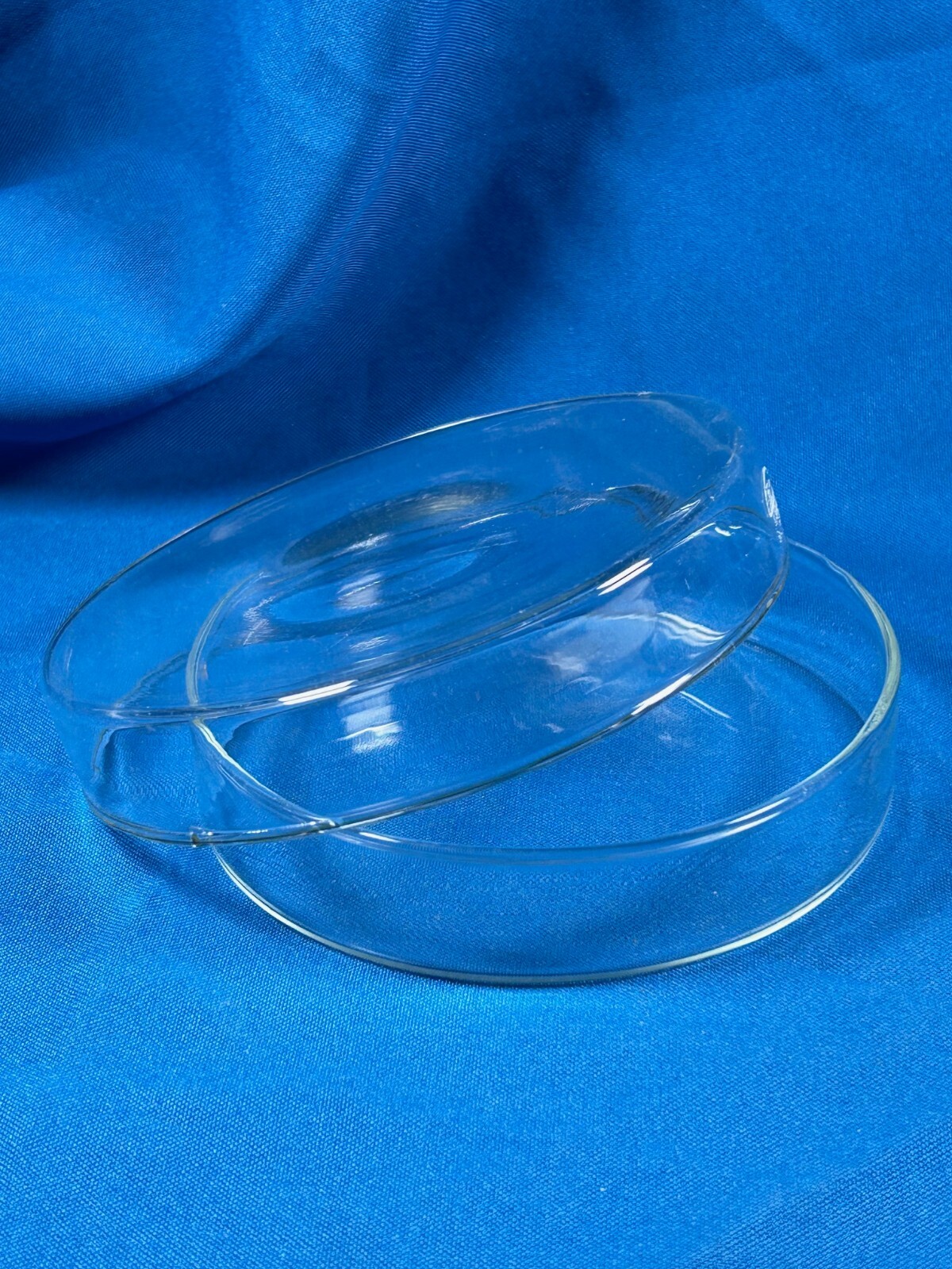 Petri dish set, cover id 123mm, dish.od. 120mm, Quality Lab Glassware