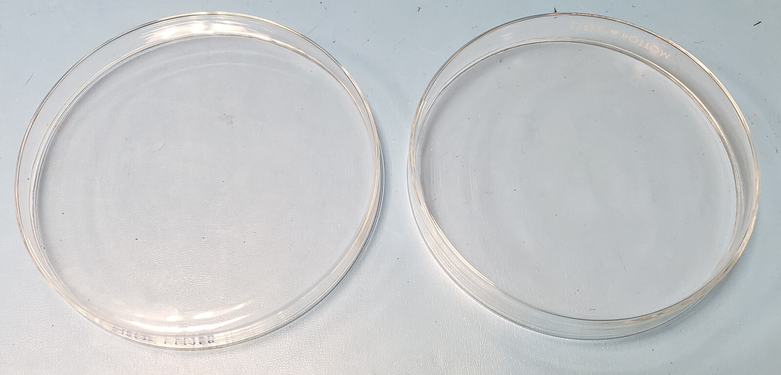 (Lot of 71) Pyrex Petri Dish Sets: Cover & Bottom. Approx 140mm Bottom Diameter