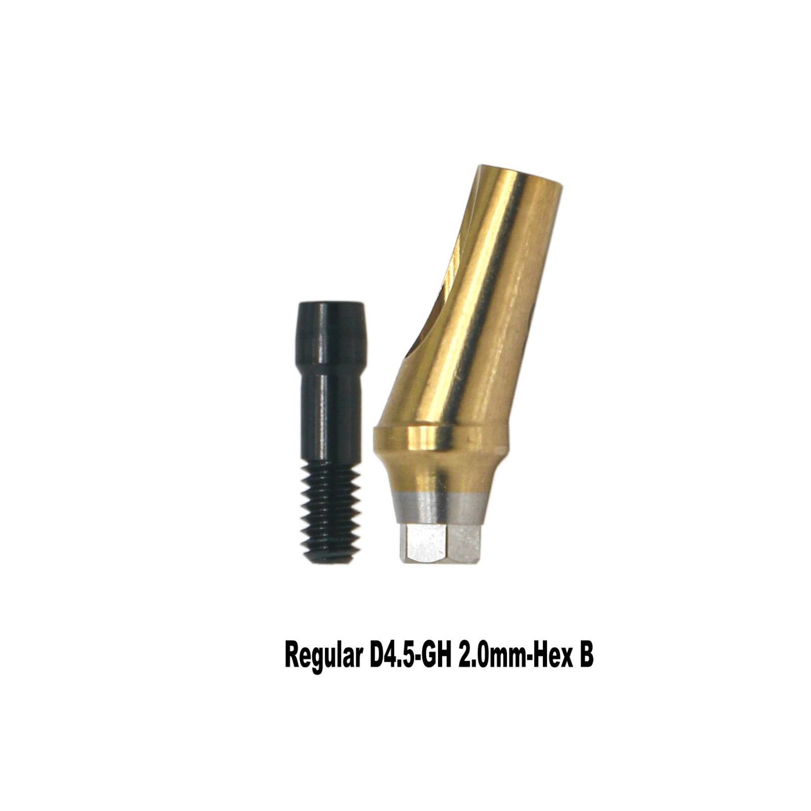 Angled Anatomic Abutment 30° 2/4mm Fits Osstem TS Hiossen Mini Regular Platform