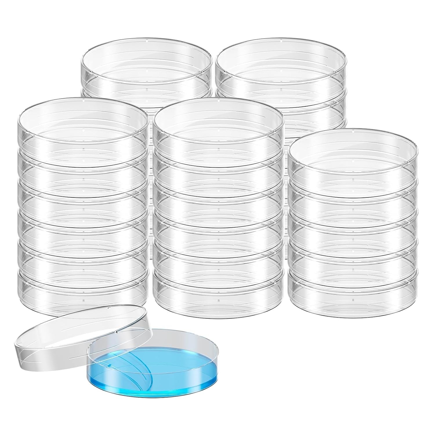 Thickened Sterile Petri Dish Set – 30 Pack 60x15mm for Mycology & Experiments