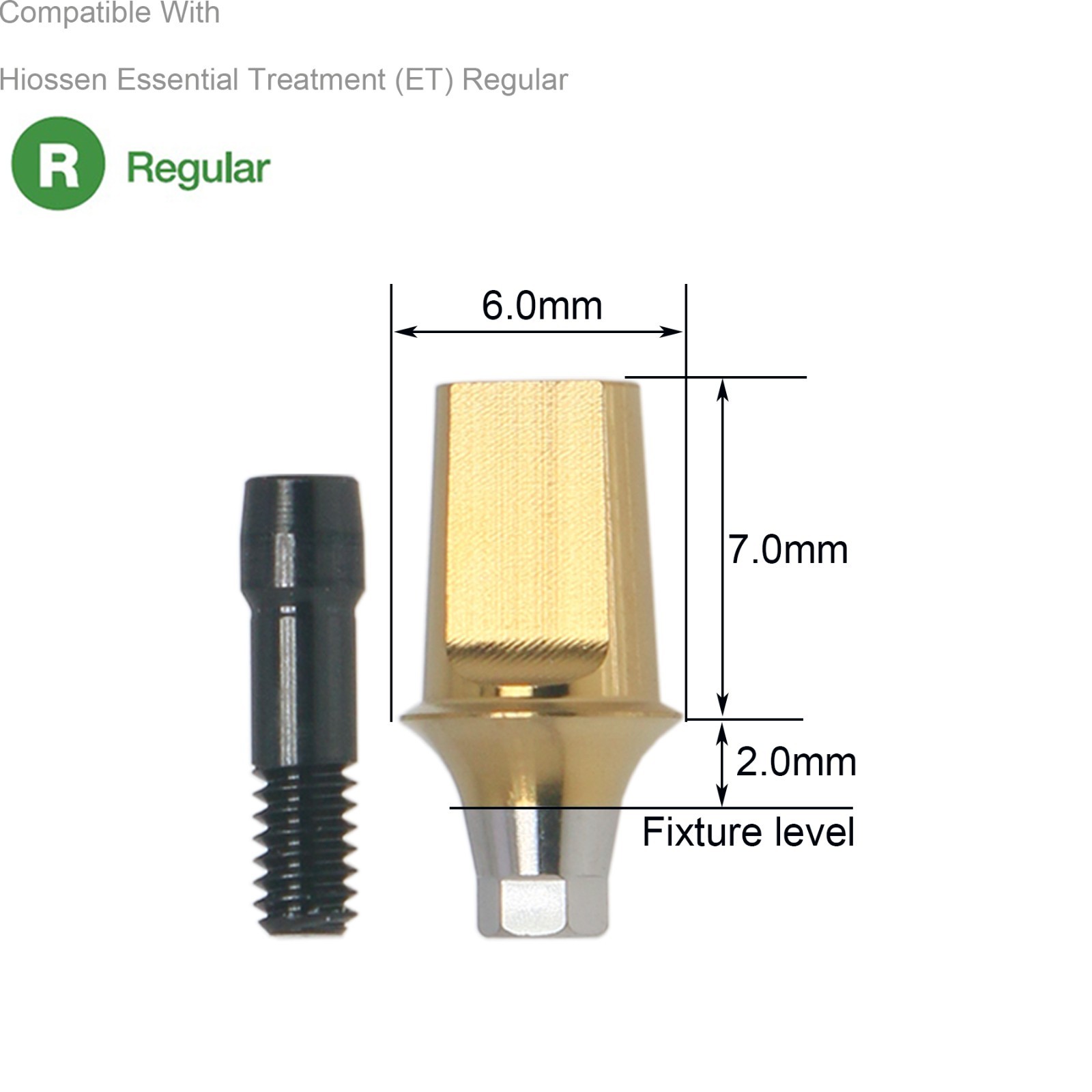 Dental Hex Straight Abutment with Screw Mini Regular Fit for Osstem Hiossen TS