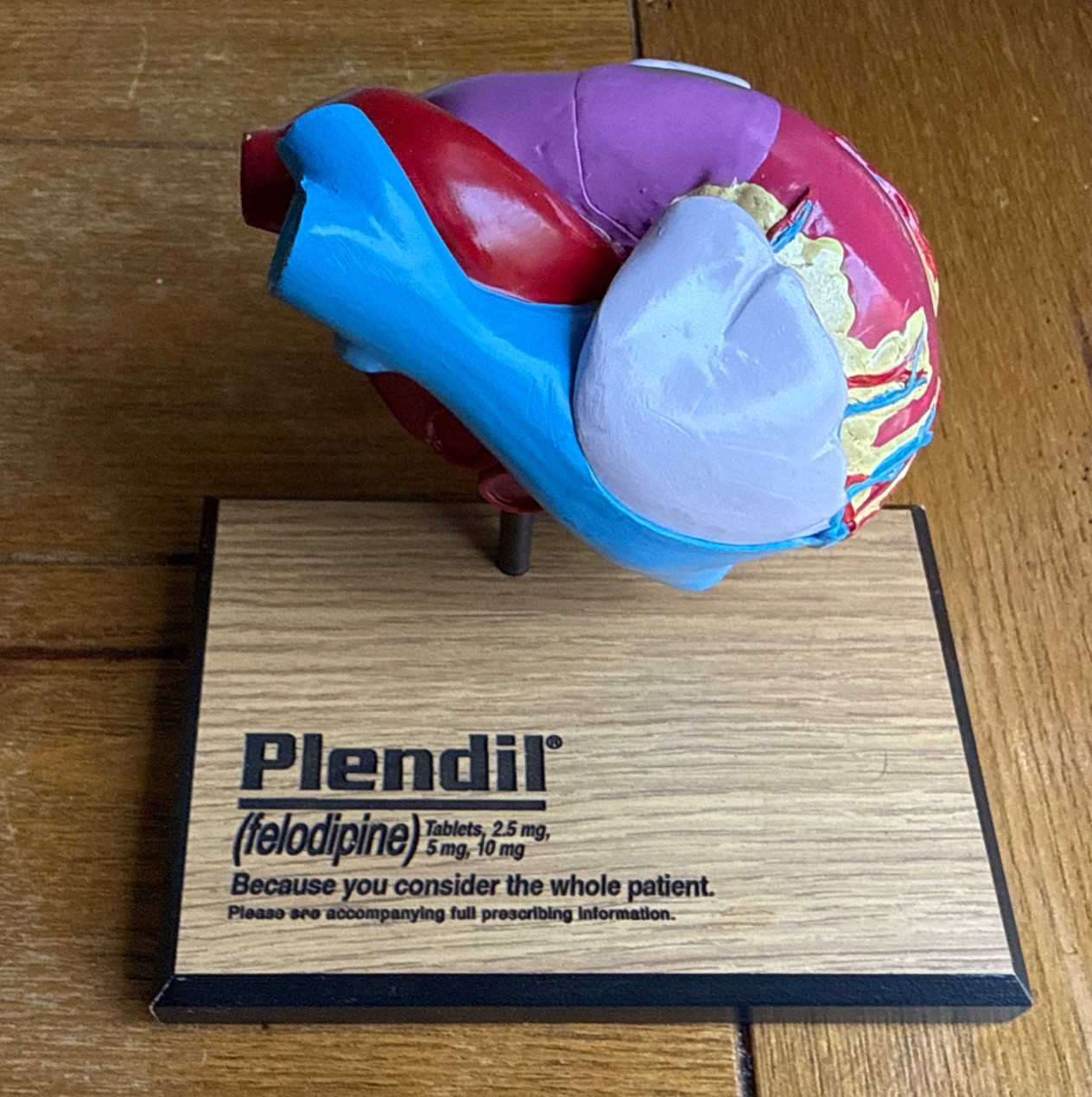 3D Model Anatomical Human Heart Drug Rep Plendil Pharmaceutical Advertising