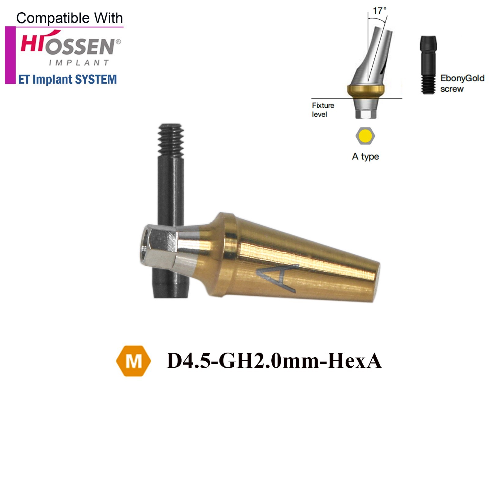 US Dental 17° Angled Anatomic Abutment Mini /Regular Fits Hiossen Osstem TS
