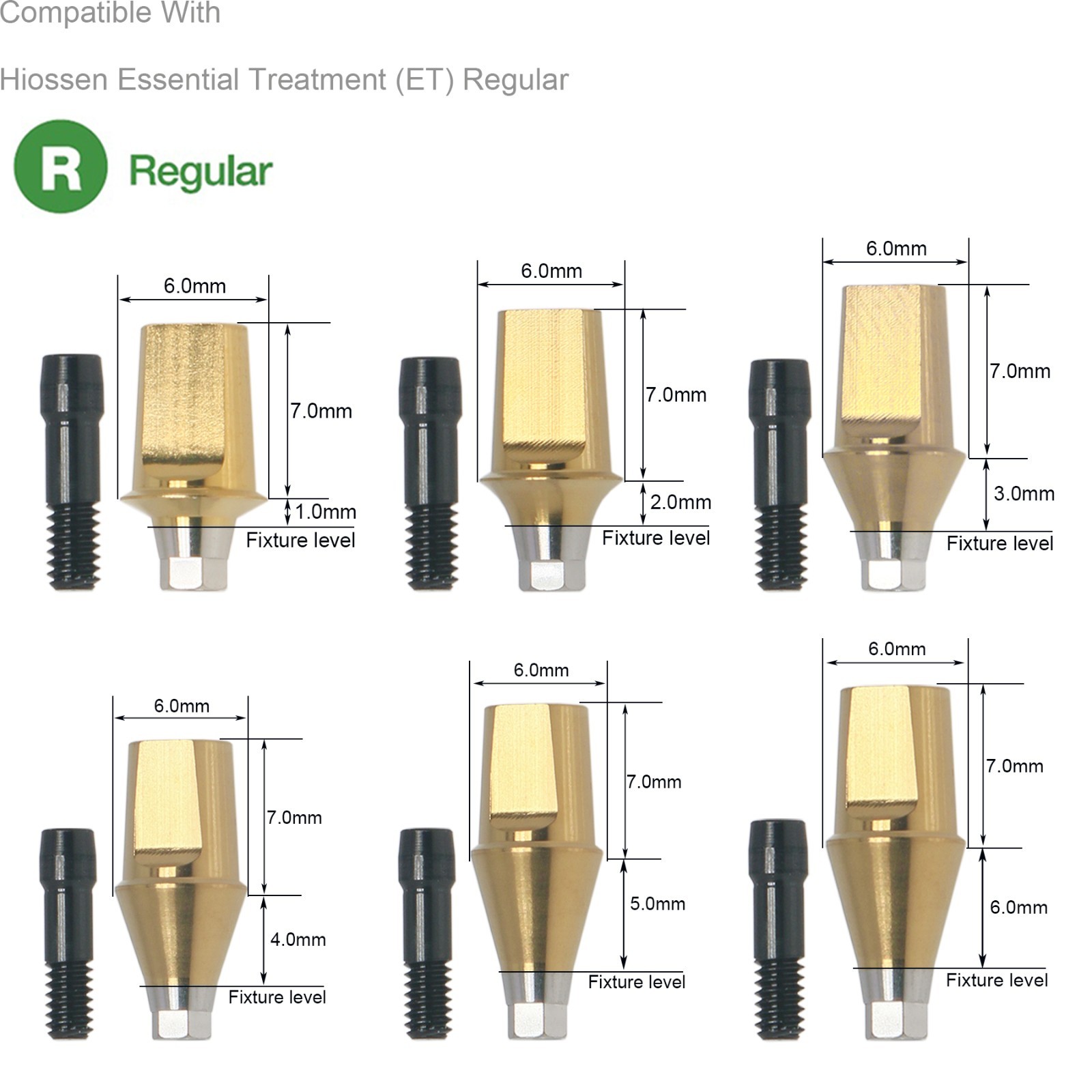 Dental Hex Straight Abutment with Screw Mini Regular Fit for Osstem Hiossen TS