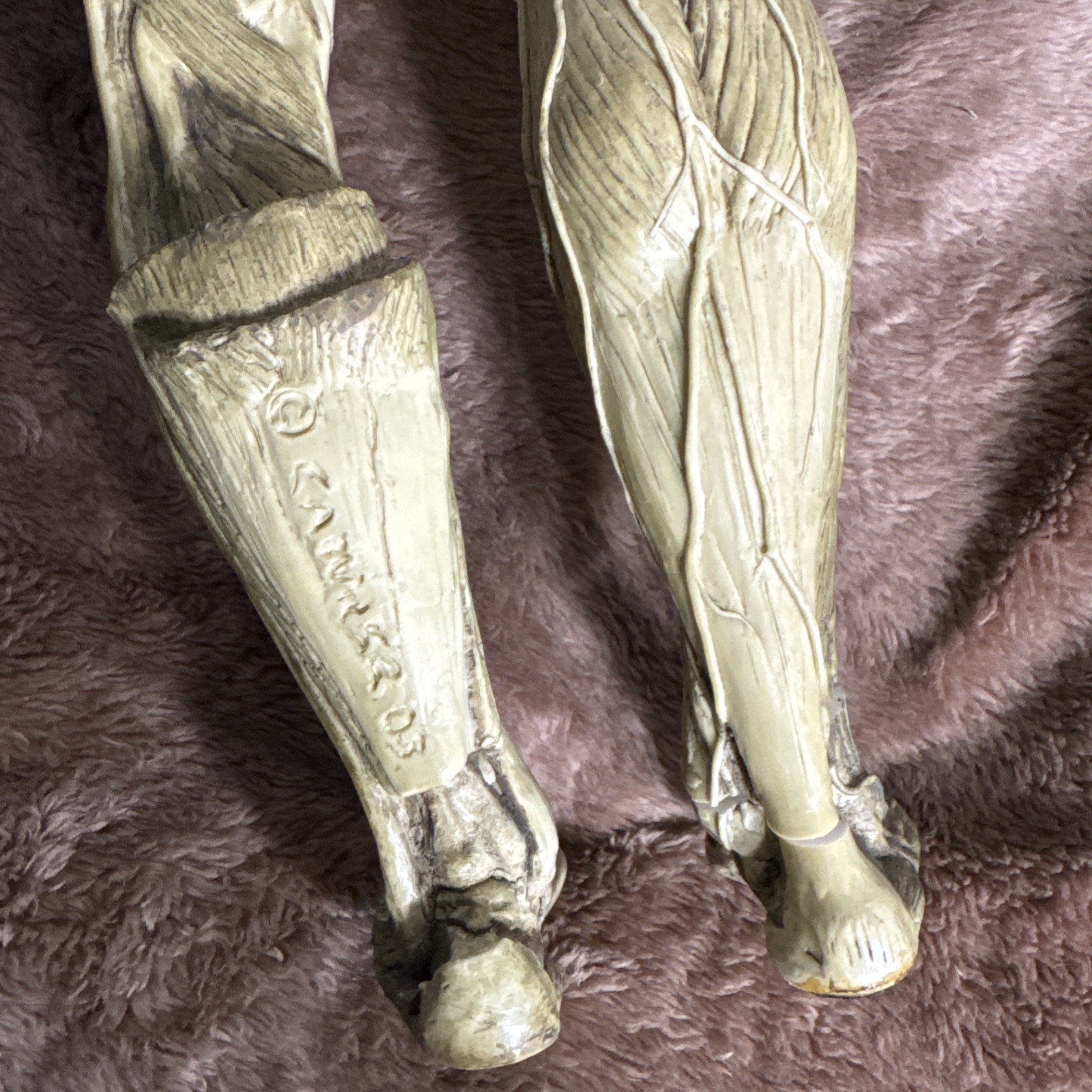 Andrew Cawrse Ver. 1 Human Anatomy Male Original Sculpted & Painted 161 of 2000
