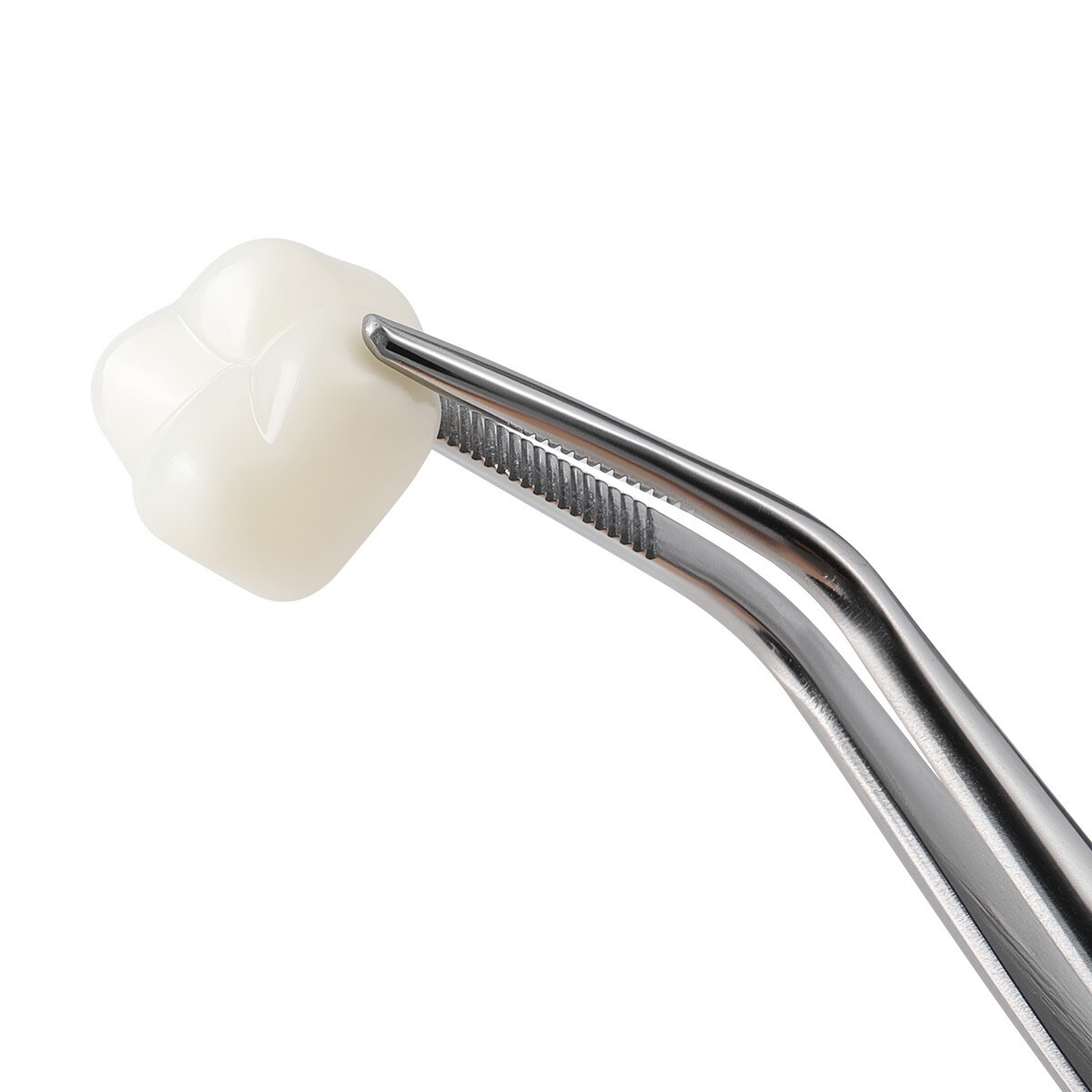 Dental Resin Anterior/Posterior Temporary Porcelain Tooth Crown Veneers Repair