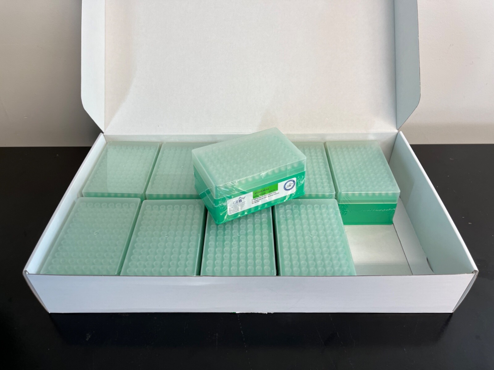 CASE of GEB AF250B-9B-NS 180uL Robotic Tips 96 tips/rack, 10, racks/box, 5 boxes