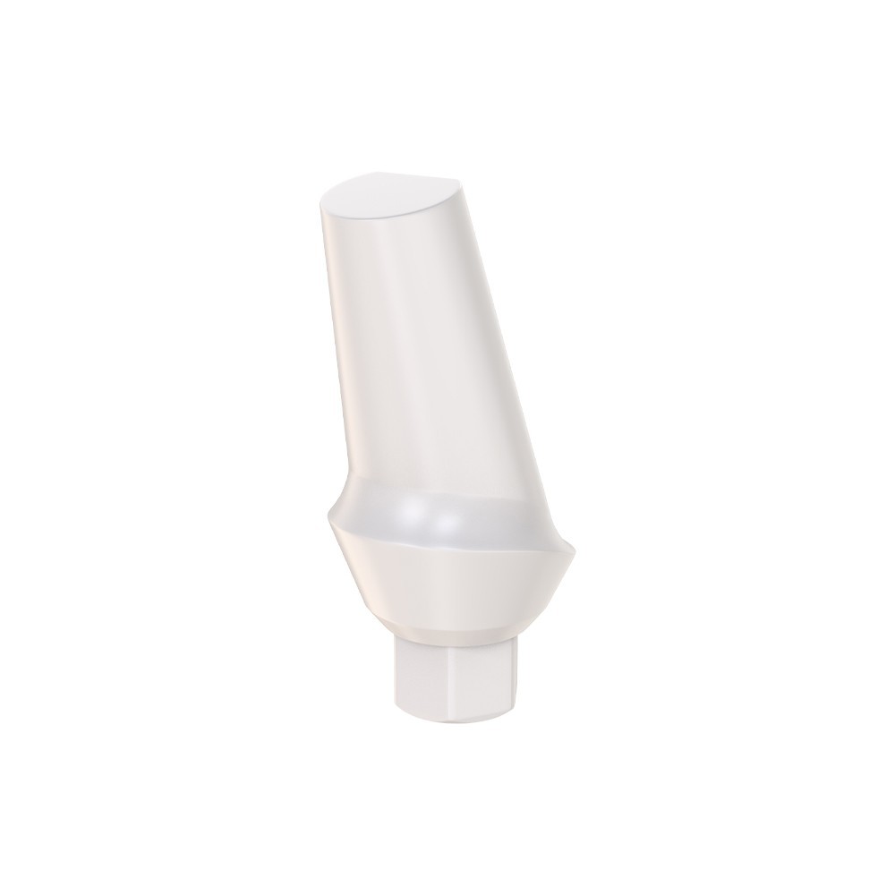 1pcs DSl Angulated Abutment Anatomic Peek With Screw 15° Internal Hex