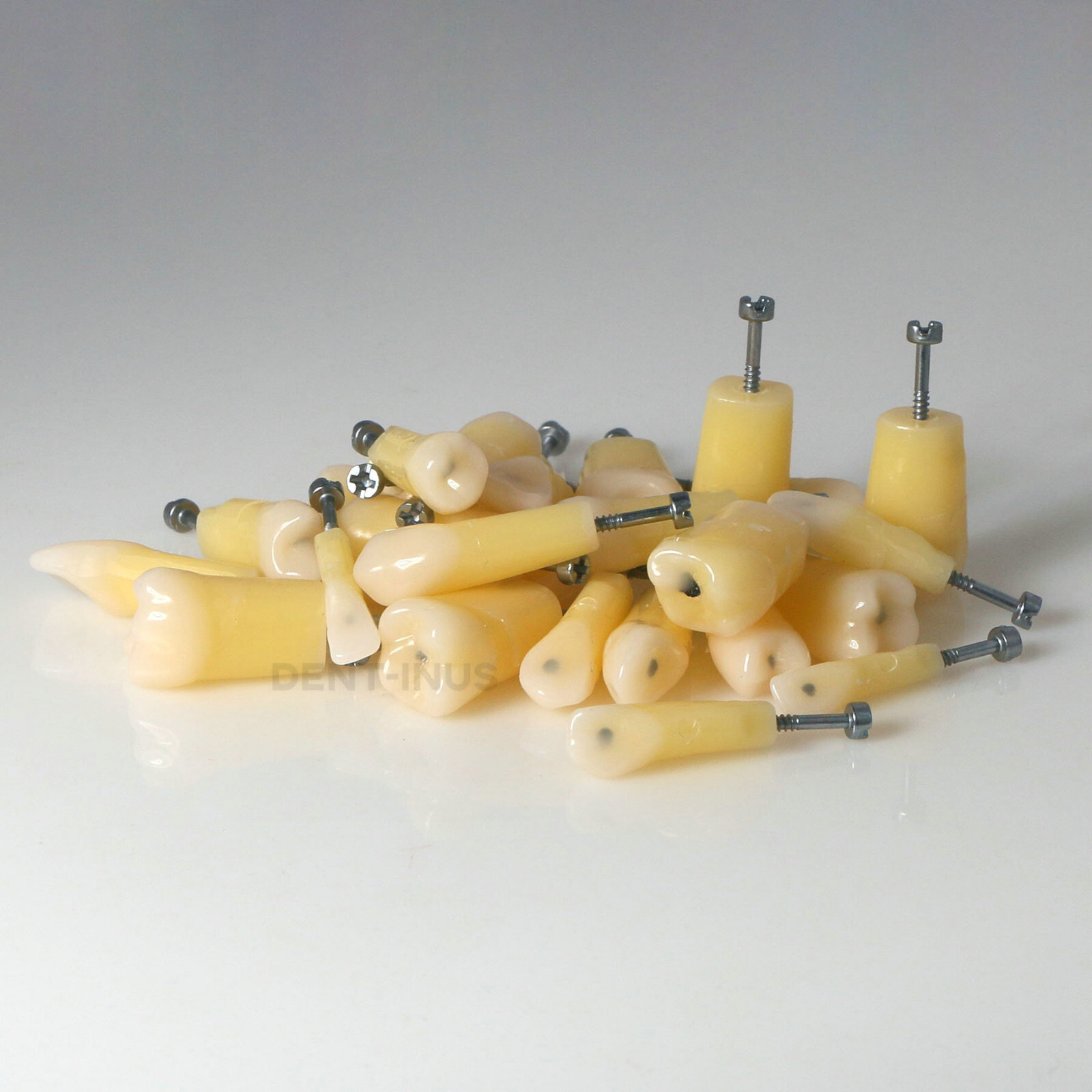 Dental Typodont Teeth Model with Caries Spots 28 Pieces Fits Kilgore Nissin 200
