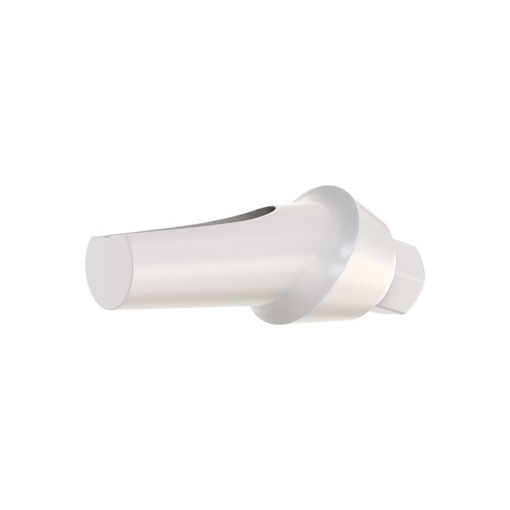 1pcs DSl Angulated Abutment Anatomic Peek With Screw 15° Internal Hex