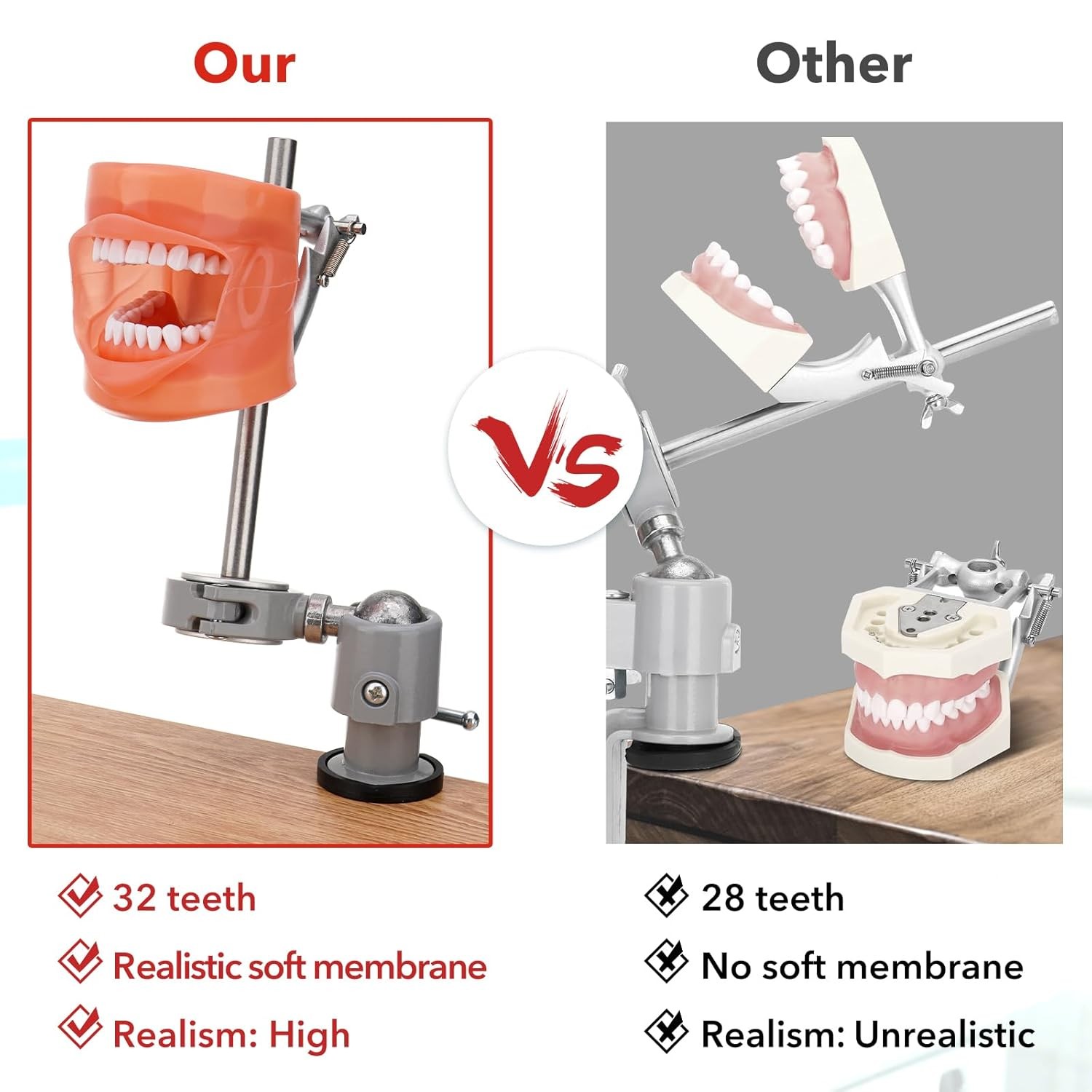 Kilgore Nissin 200 Type Dental Typodont Model+32pc Removable Teeth Mounting Pole