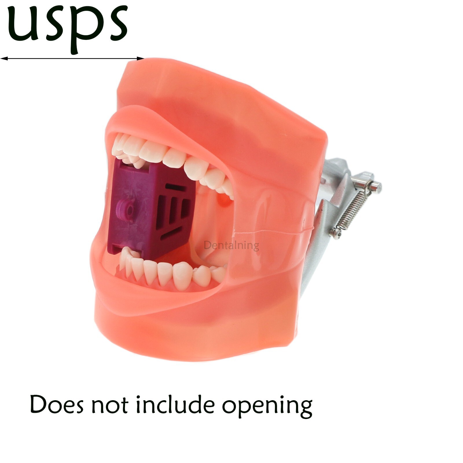 US Overdenture All-On-4/6 Implant /Ortho/Columbia 860/Kilgore NISSIN Teeth Model