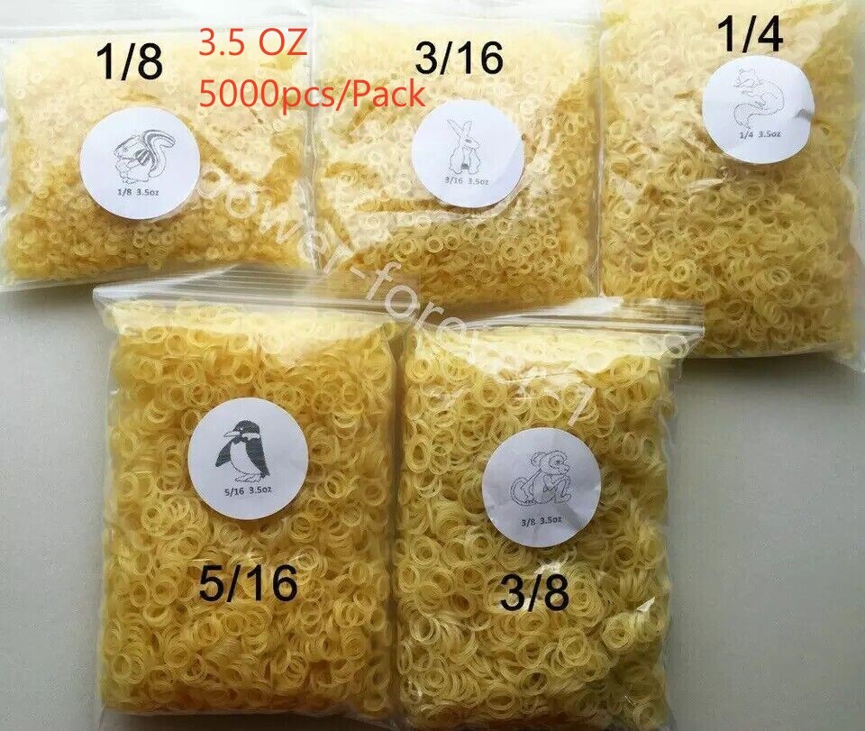 Dental Orthodontic Elastics Rubber Bands Ties 3.5OZ For Ortho Bracket Yellow
