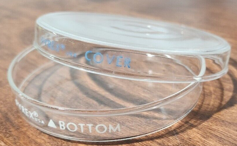 PYREX Glass Petri Dish 100mm x 10mm Cover & Bottom Reusable Pick Quantity USA