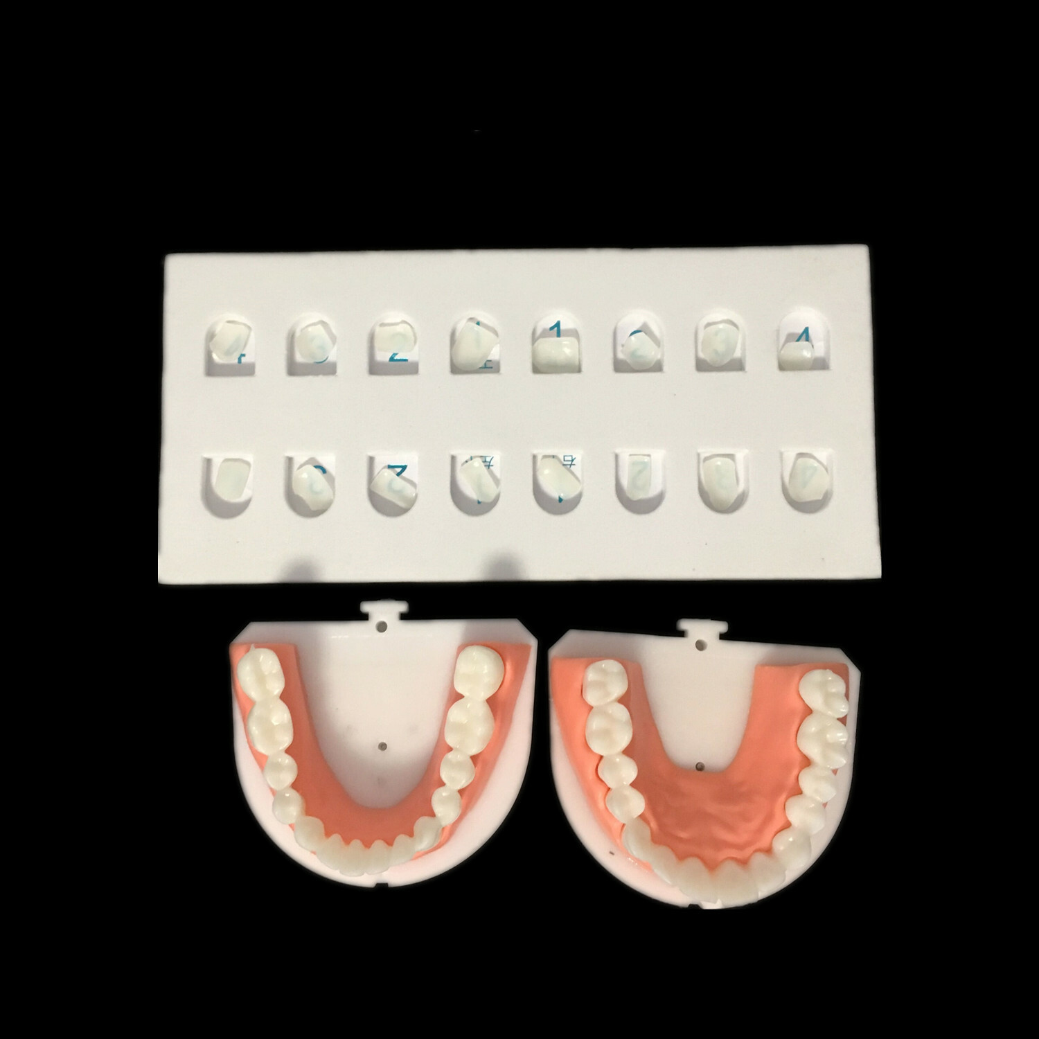 Dental Composite Veneer Template Front Teeth Practise Model Dentist Teaching