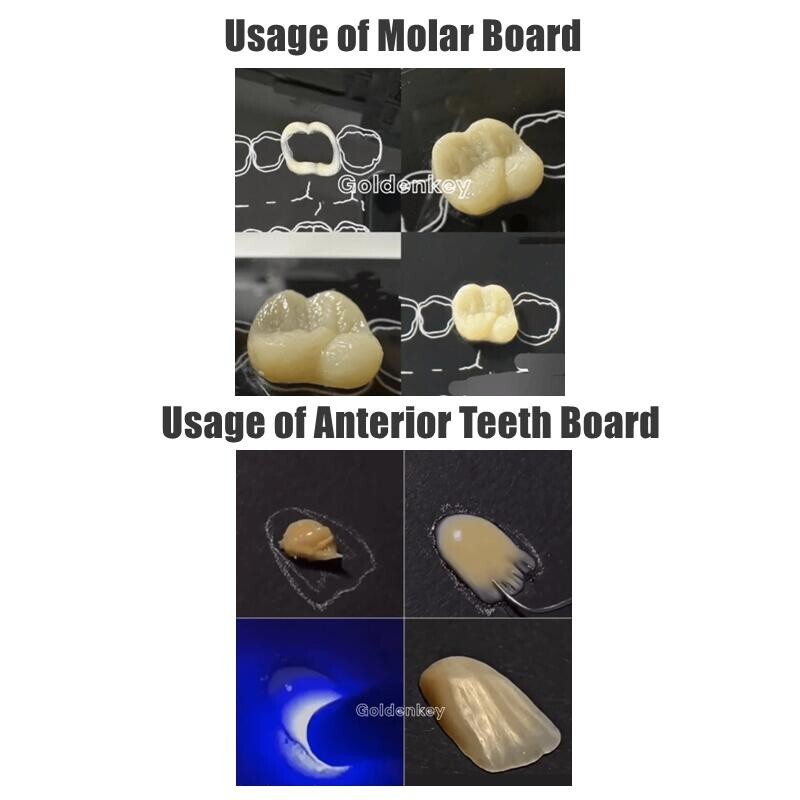 6Pc Dental Composite Resin Filling Model Dentist Build Up Teeth Morphology Board