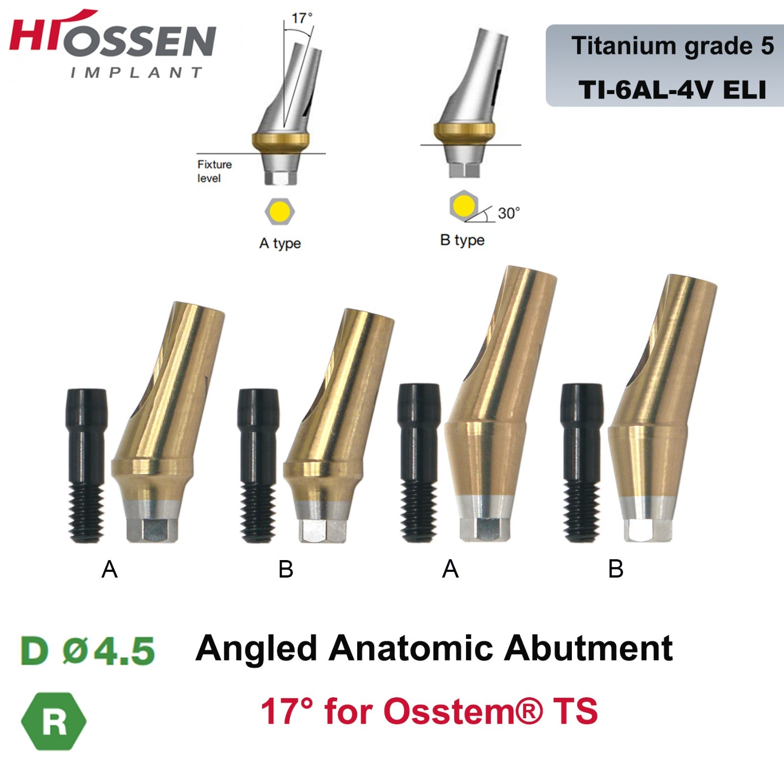 US 17° Dental Angled Anatomic Abutment Hiossen/Osstem TS Mini/Regular Platform