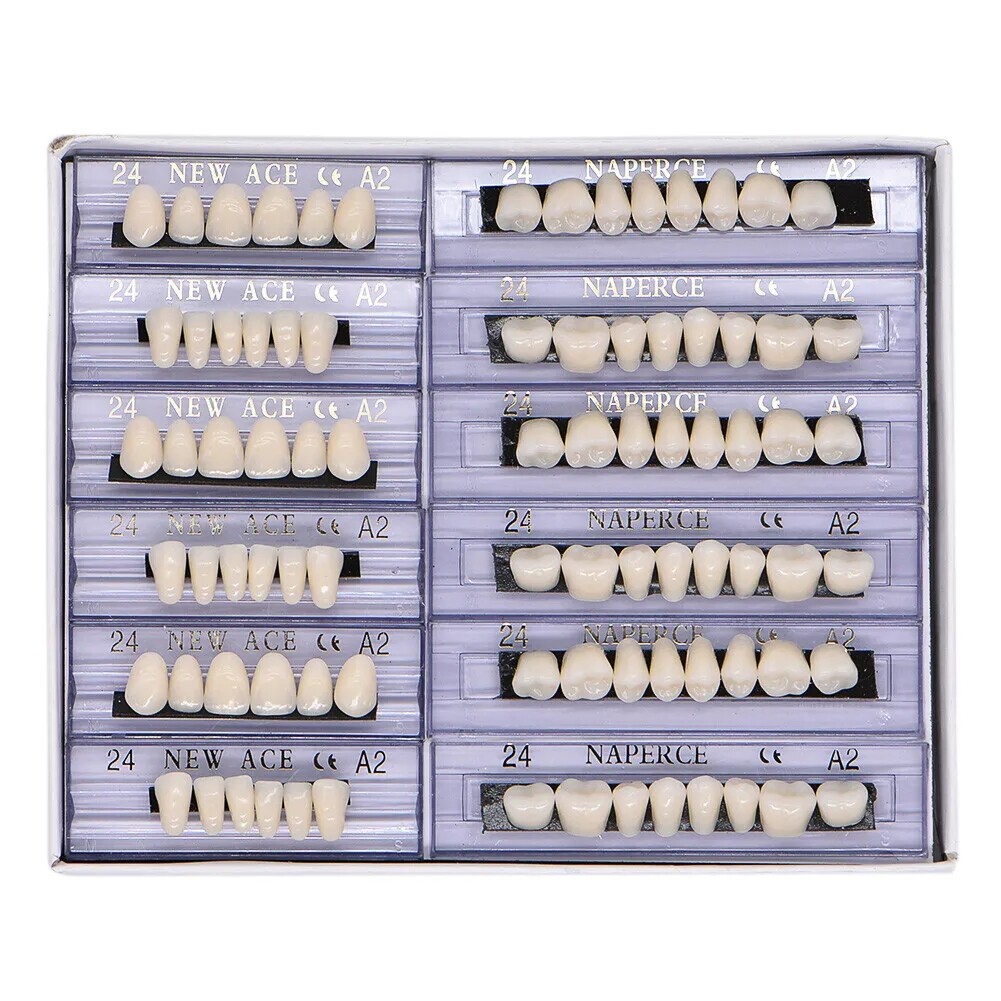 168X Acrylic Resin A1/A2/A3 Dental Denture Teeth Upper Lower Shade 22/23/24# USA