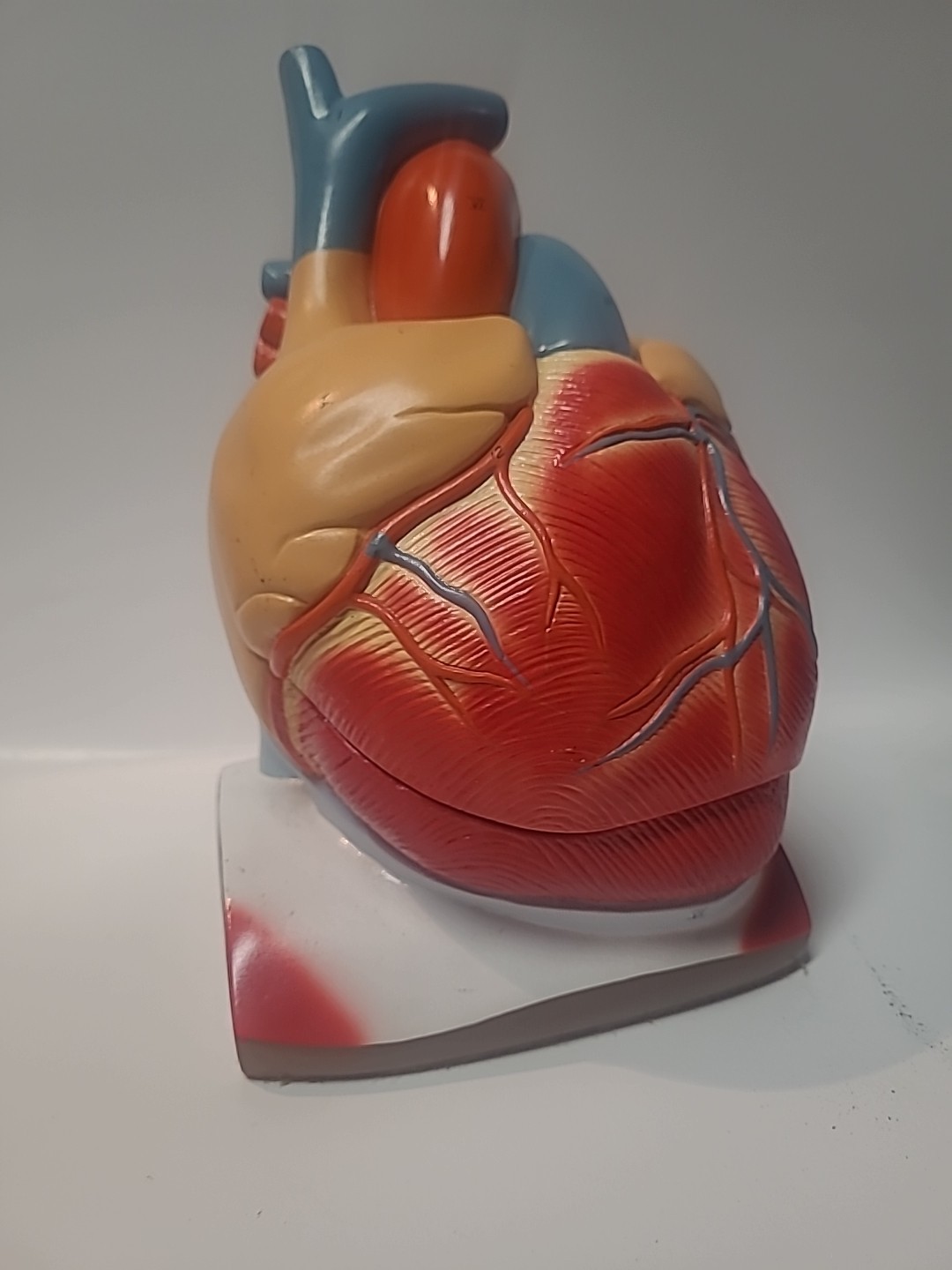 Vintage Denoyer-Geppert Heart of America Model, Working Hinged Flaps