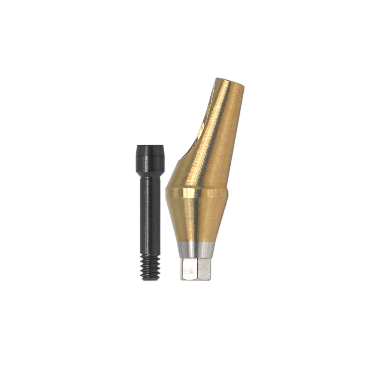 Angulated Anatomic abutment 30°Mini/Regular B Type for Hiossen Osstem TS Implant