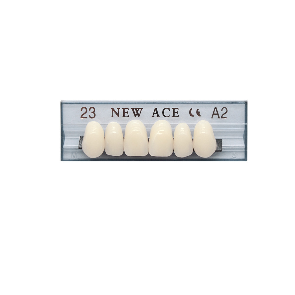 168Pcs/Box Acrylic Resin Denture #23 Dental Upper Lower Shade A2 Teeth Set US