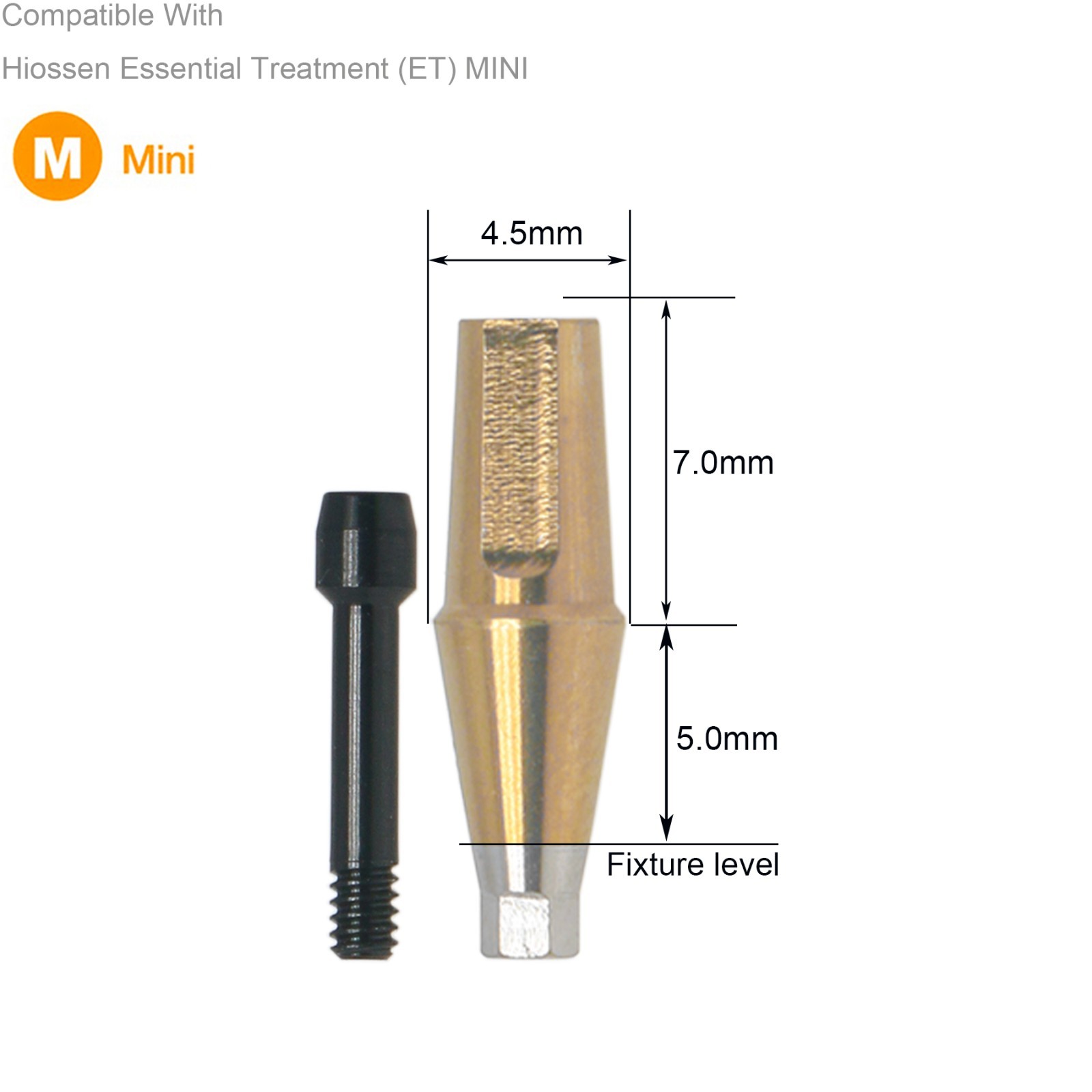 Dental Hex Straight Abutment with Screw Mini Regular Fit for Osstem Hiossen TS