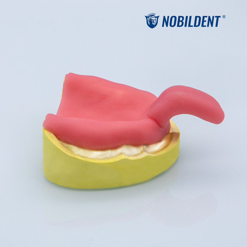 NOBILCURE Dental Light Curing Unit for Light Curing Trays