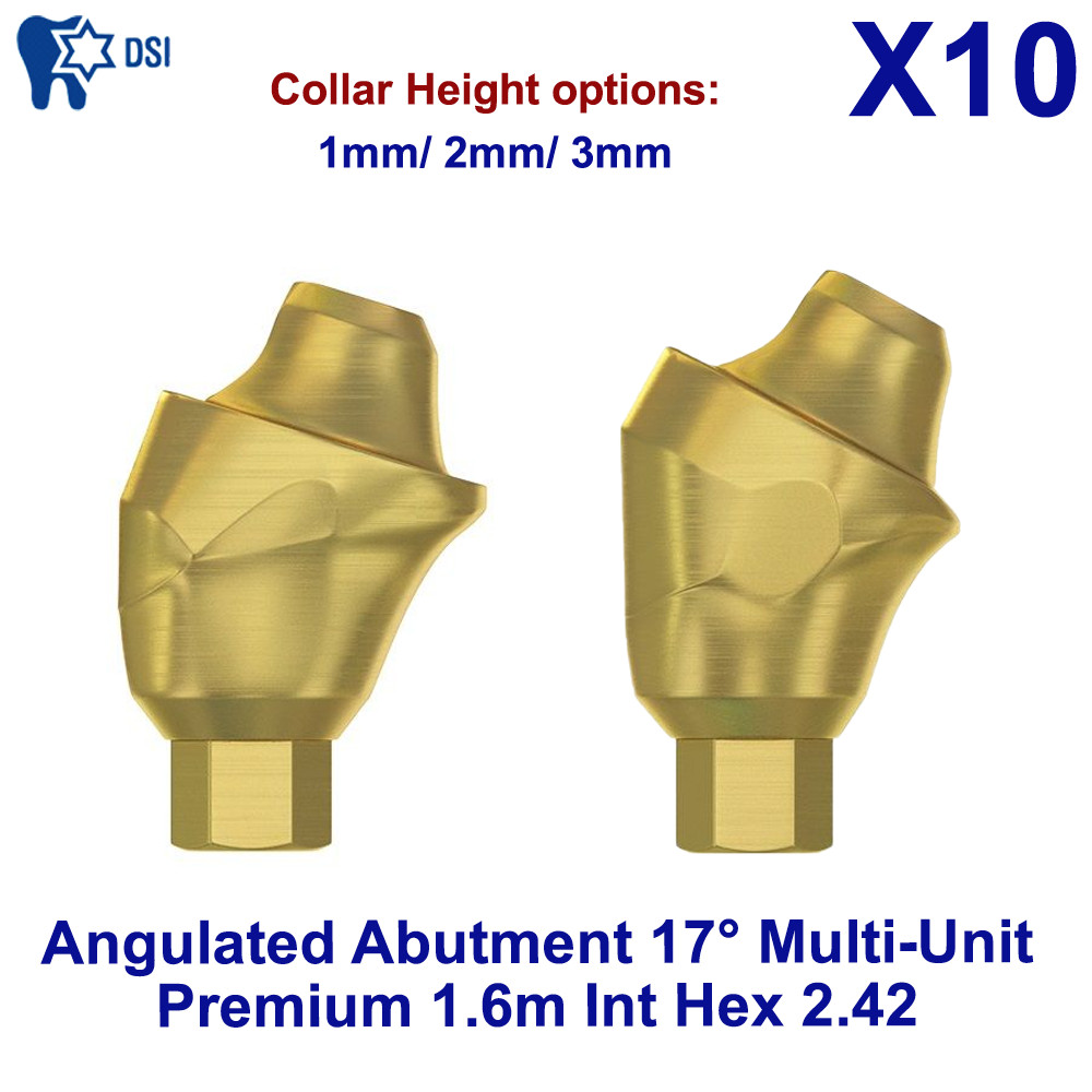10x Dental DSI Angulated Abutment 17° Multi-Unit Premium 1.6m Internal Hex 2.42