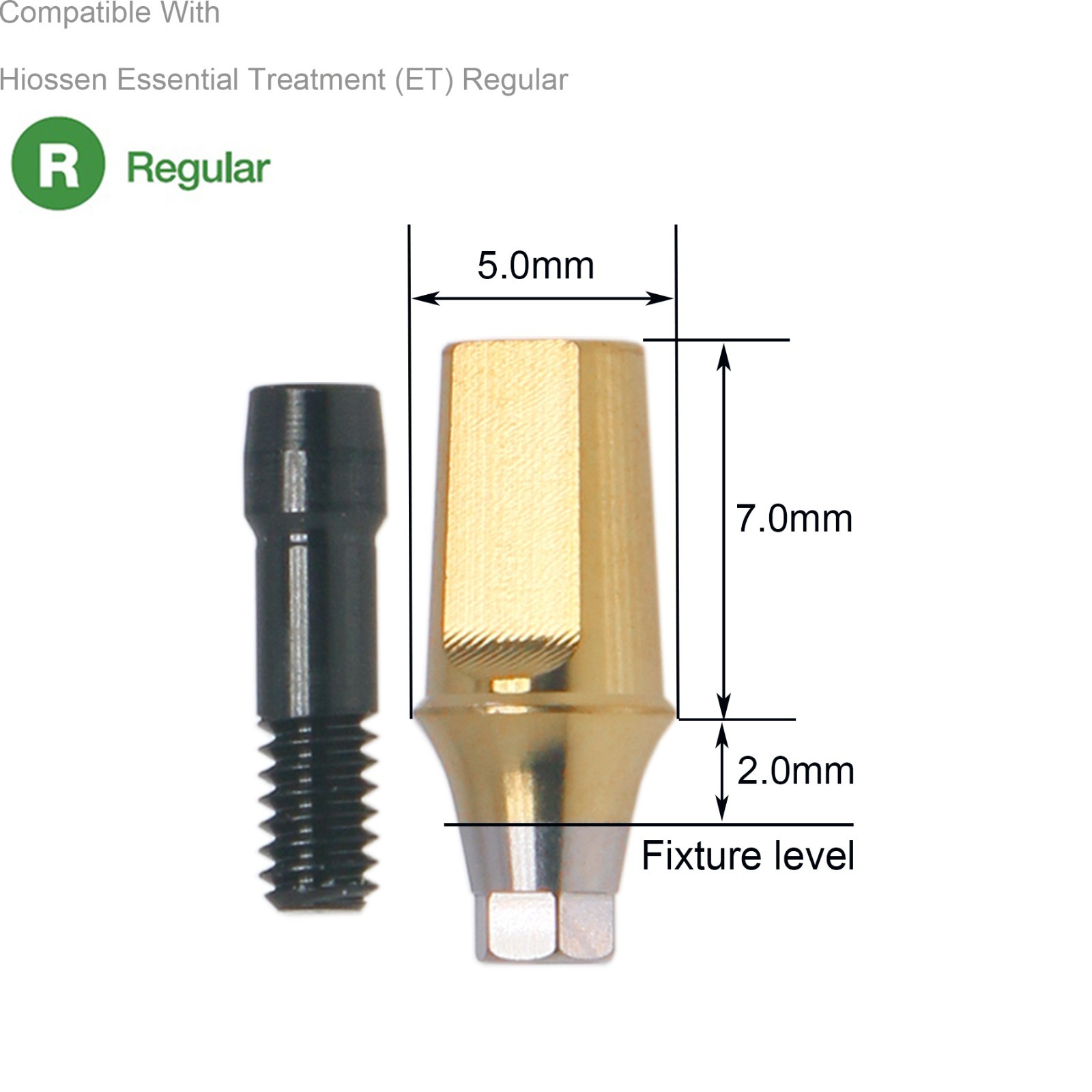 Dental Hex Straight Abutment with Screw Mini Regular Fit for Osstem Hiossen TS