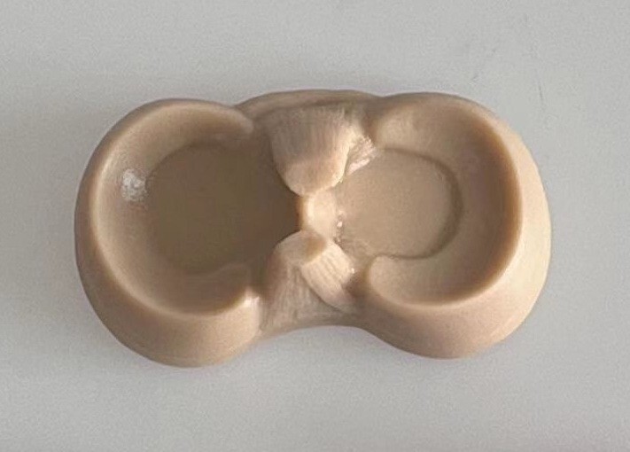 1Piece Human Meniscus Practice For Orthopedic Surgeons Model