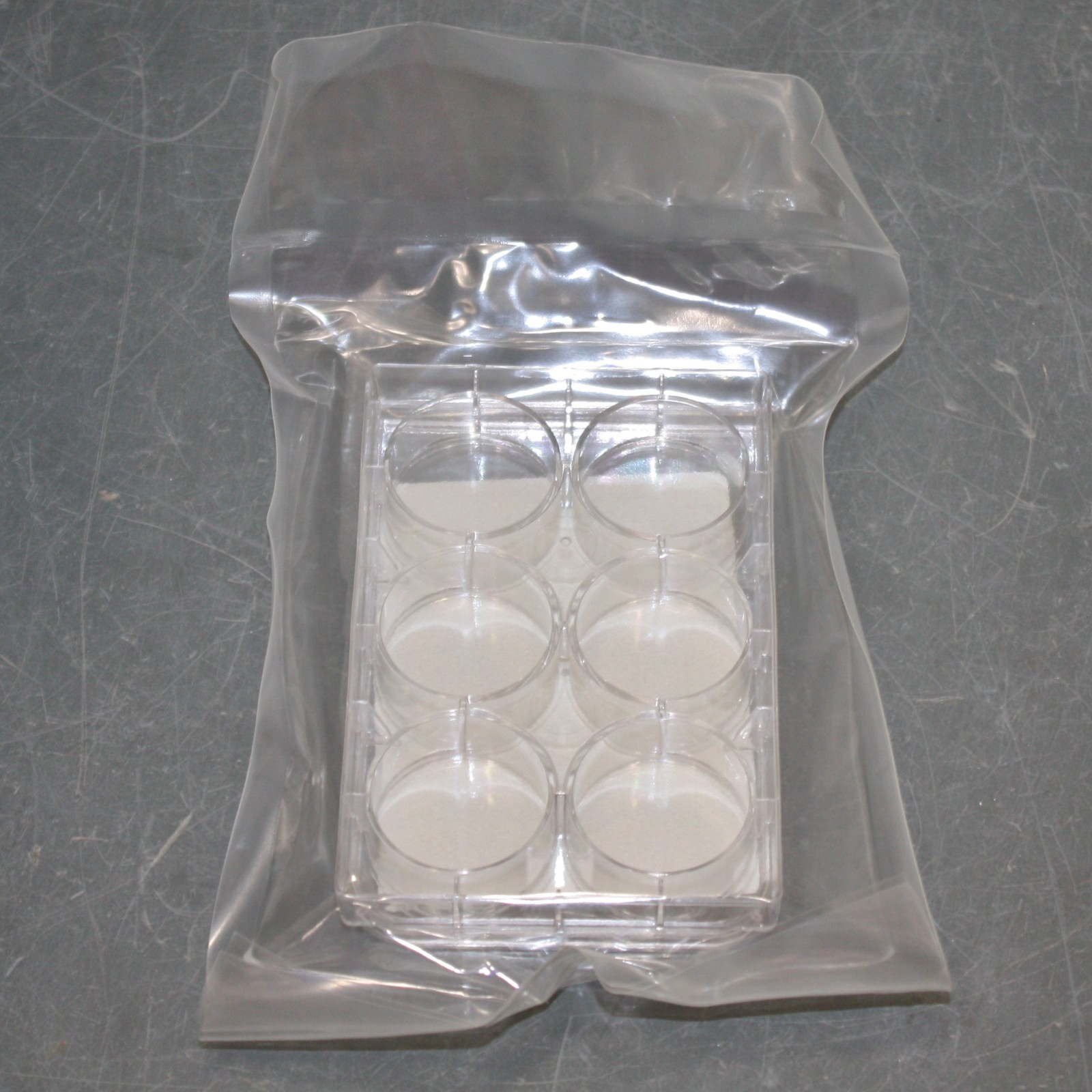 (24) Corning 6-Well Flat Bottom Plate 3471, Sterile, Non-Pyrogenic, Polystyrene