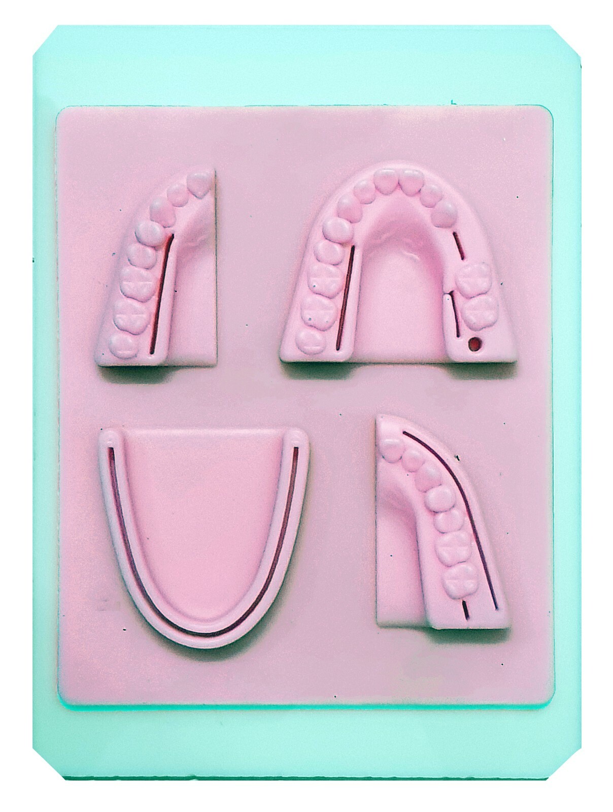 Silicon Dental Suture Training Pad With Tray Suture Pad Size 6″x5″ Premium Tools