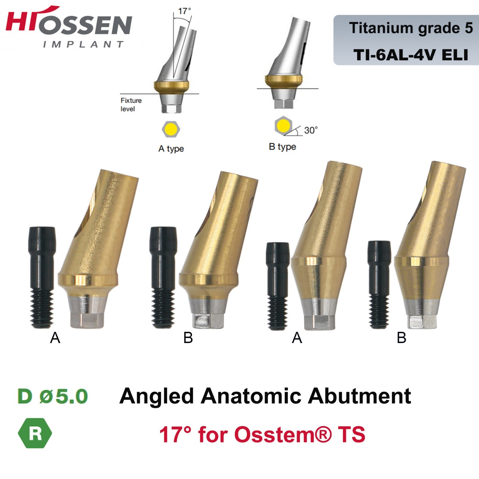 US 17° Dental Angled Anatomic Abutment Hiossen/Osstem TS Mini/Regular Platform