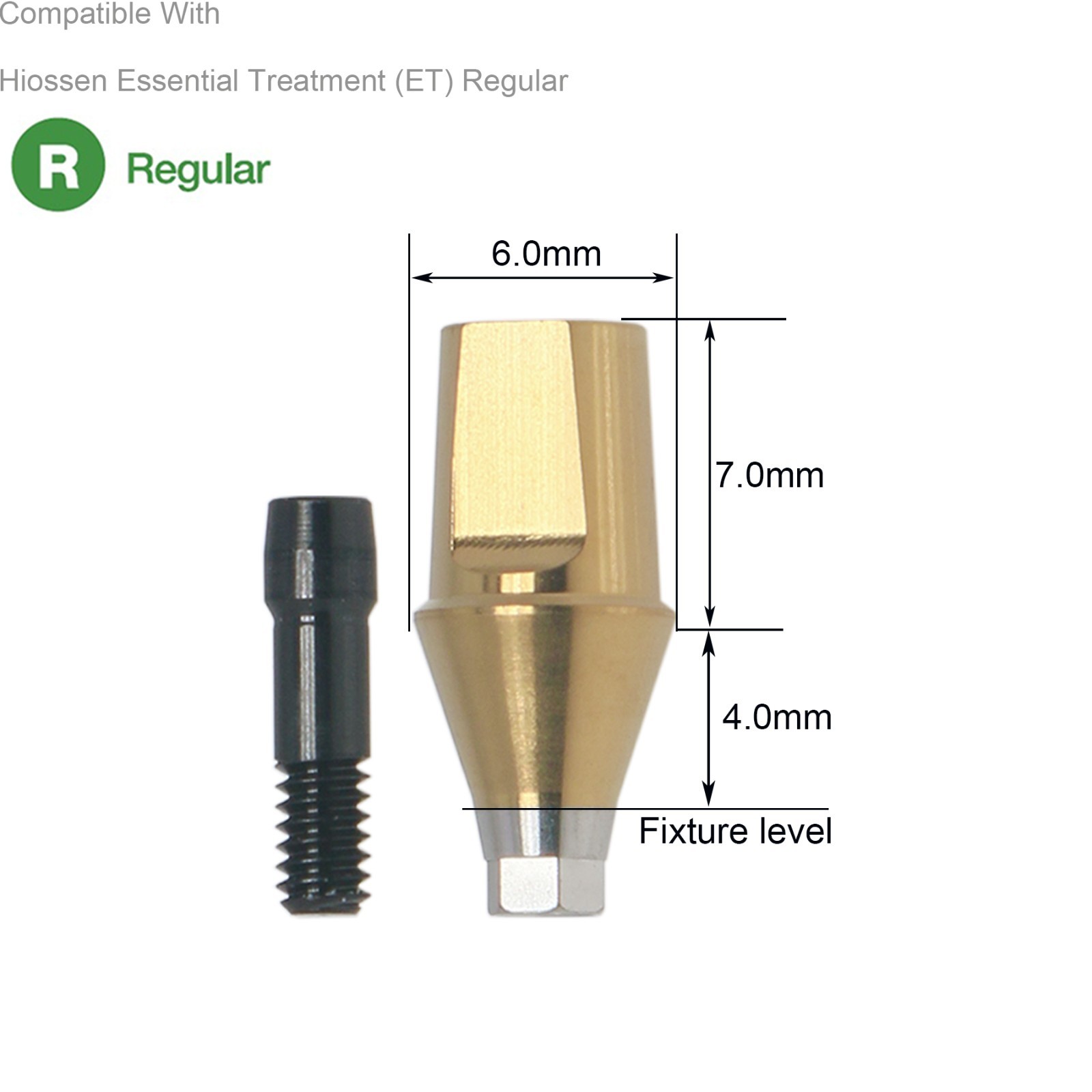 Dental Hex Straight Abutment with Screw Mini Regular Fit for Osstem Hiossen TS