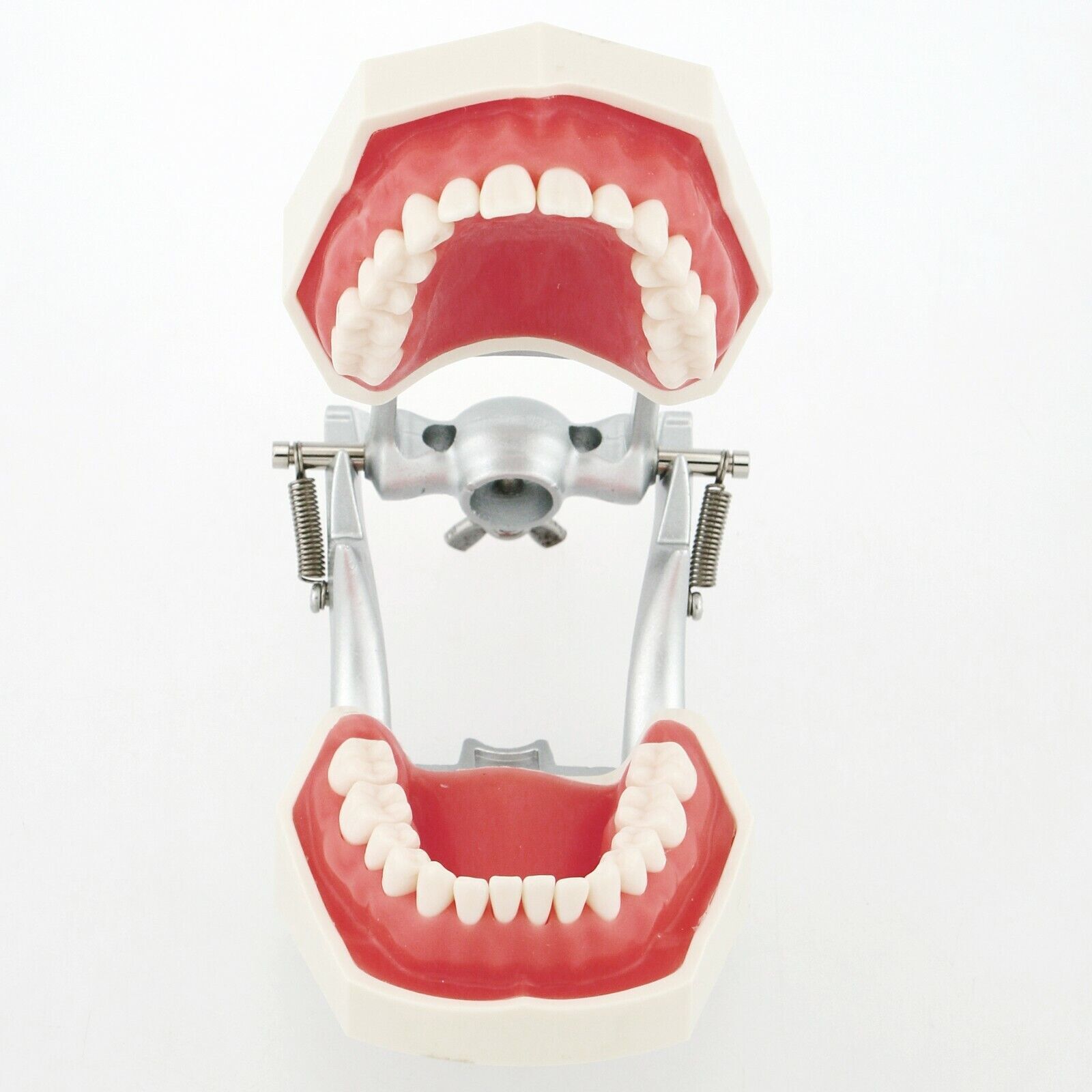Dental Typodont 28/32Pcs Model Removable Teeth fit Kilgore NISSIN 200/500 Type