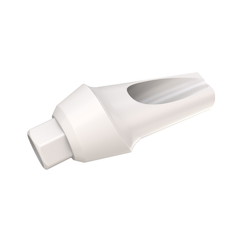 1pcs DSl Angulated Abutment Anatomic Peek With Screw 15° Internal Hex