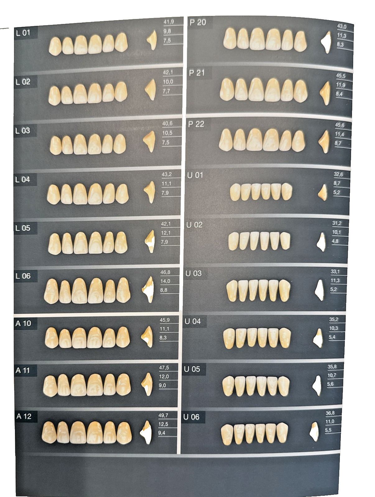 DENTURE TEETH KULZER BASIC6 & BASIC8 Set Germany made.