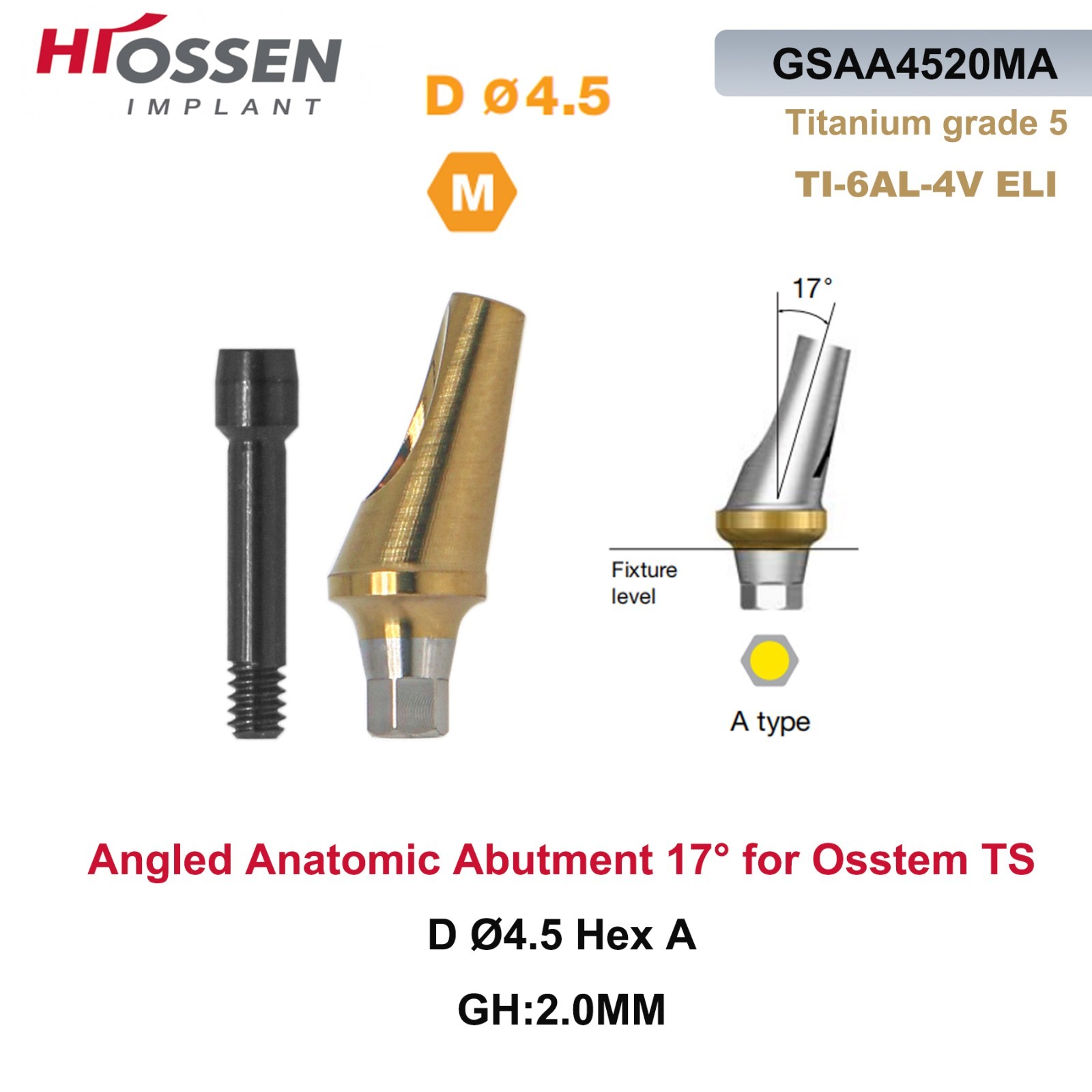 1X Fit Mini/Regular Angled Anatomic Abutment 17° Ti Dental Osstem/TS Hiossen/ET