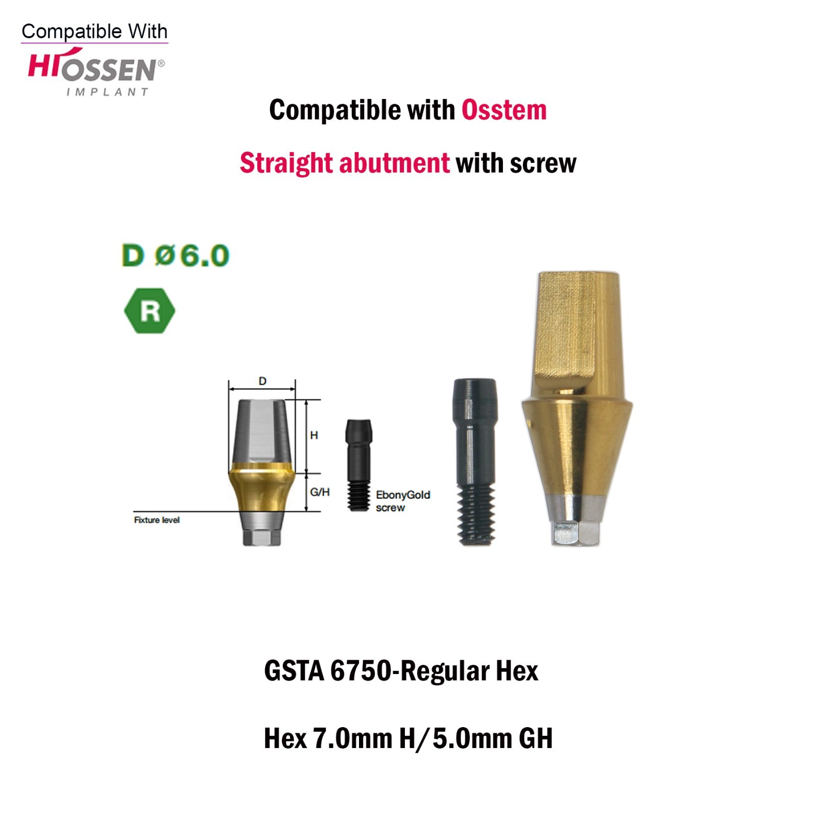 Titanium Straight Abutment Ti Cemented Abutment Compatible Osstem Hiossen TS M/R