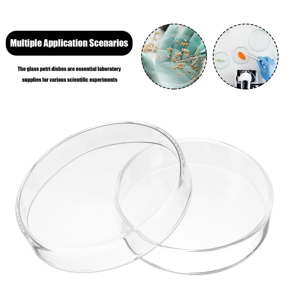 1 Set Reusable Glass Petri Dishes for Laboratory Culture with Clear Visibility