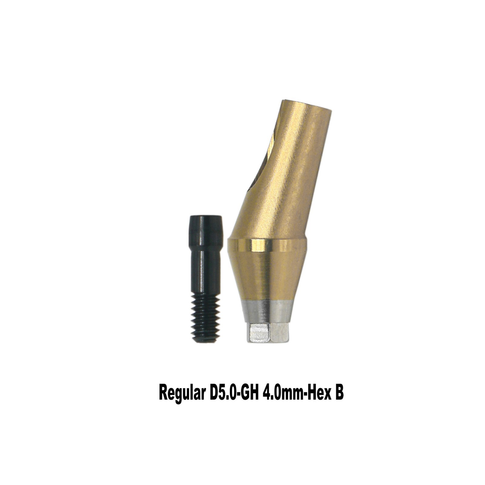 Angled Anatomic Abutment 30° 2/4mm Fits Osstem TS Hiossen Mini Regular Platform