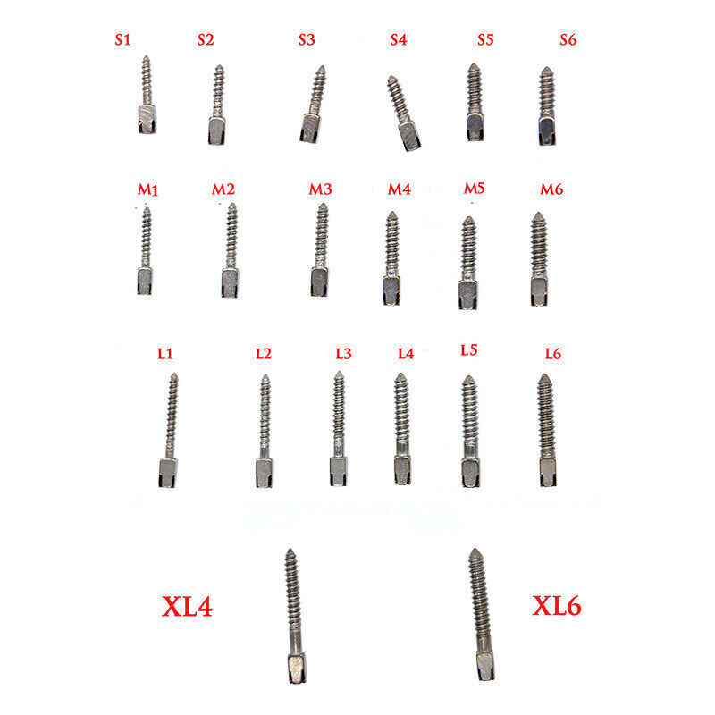 30 Pcs Dental All Size Pure Titanium Assorted Conical Screw Posts Root Canal Pin