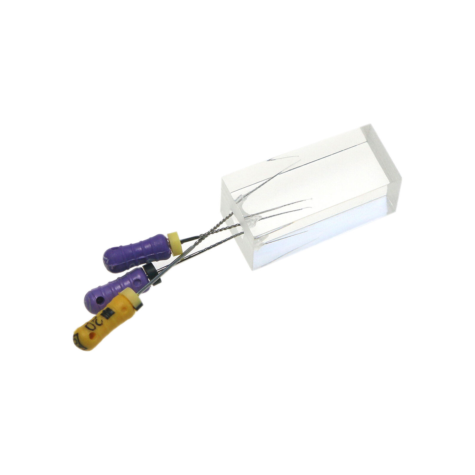 5pcs Dental Endodontic Root Canals Practice Model Endo Training Block Clear