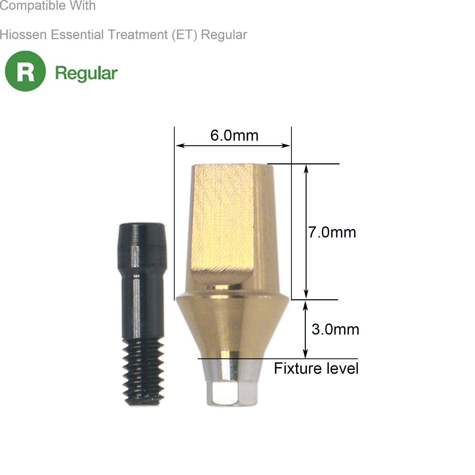 Dental Hex Straight Abutment with Screw Mini Regular Fit for Osstem Hiossen TS